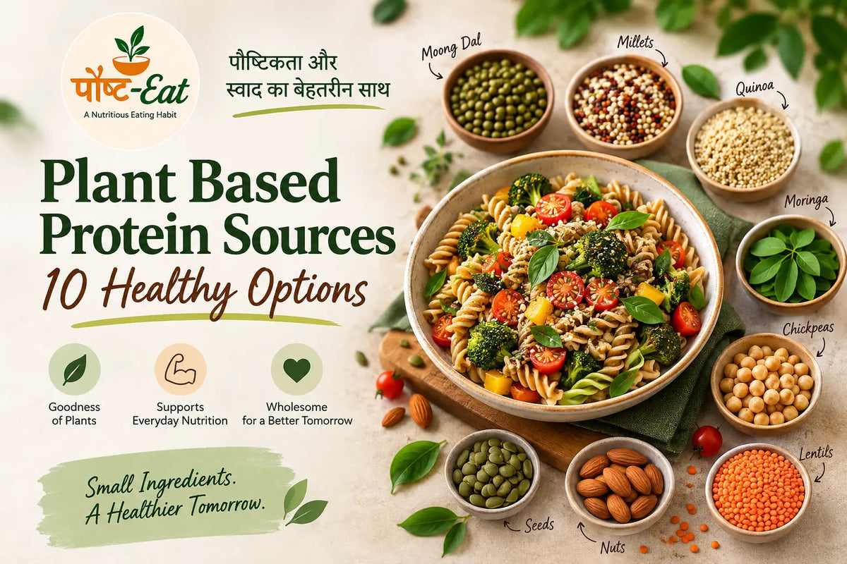 Plant-Based Protein Sources: How to Add More Protein to Your Everyday Diet