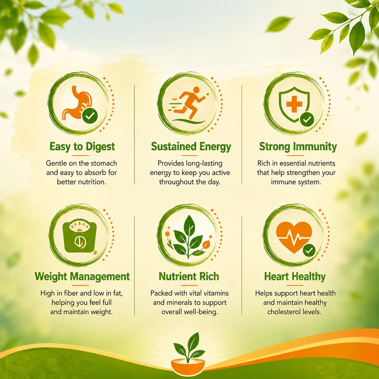 Healthy Start | Beginner Friendly Nutrition